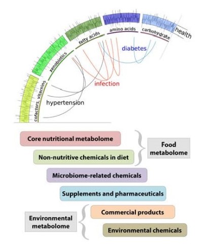 Photo credit: XO Files Mapping the Human Exposome