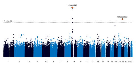 Manhatton_Plot_GWAS_study_ALS